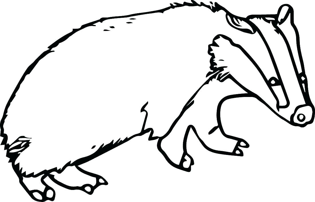 Badger Coloring Page 1100x704 Badger Coloring Page