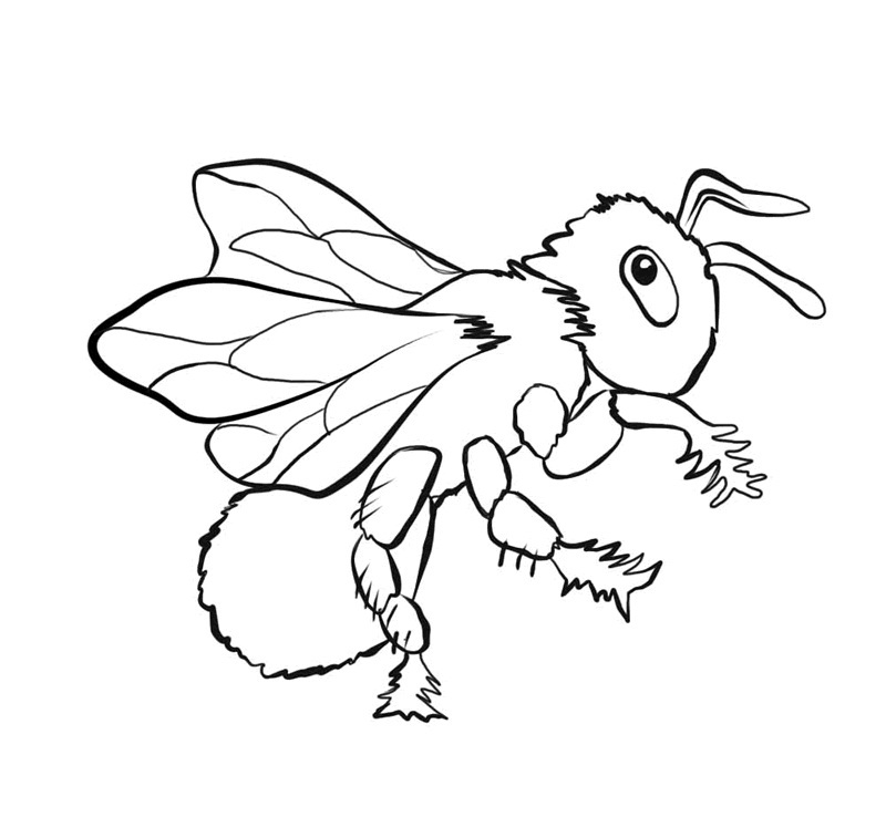 800x738 Free Printable Bee Coloring Pages For Kids