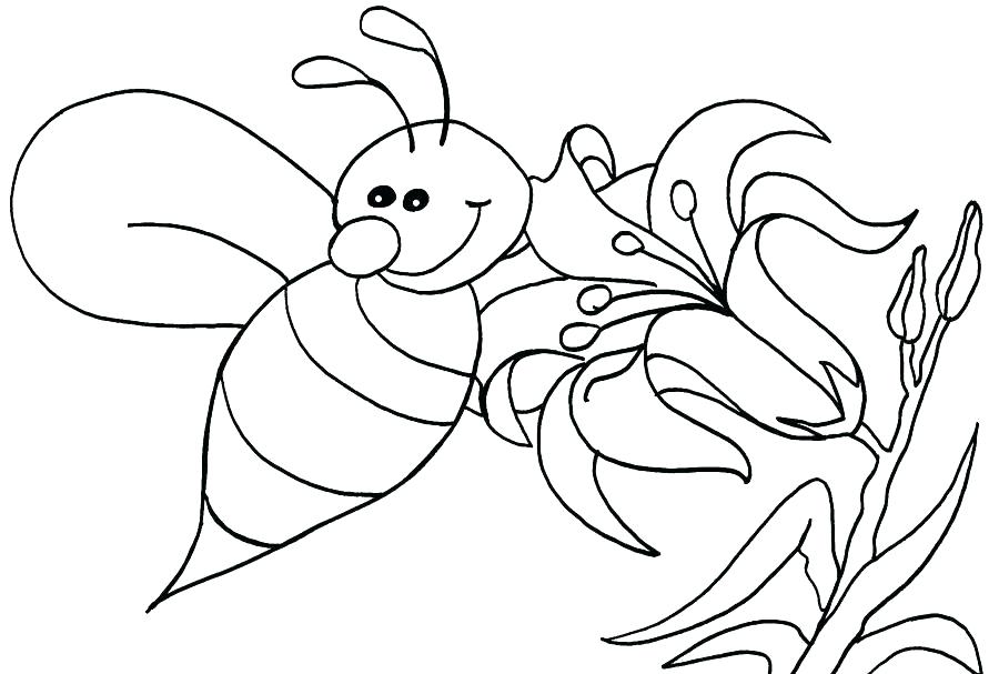 900x607 Honey Bee Coloring Pages Also Honey Bee Coloring Pages Collecting