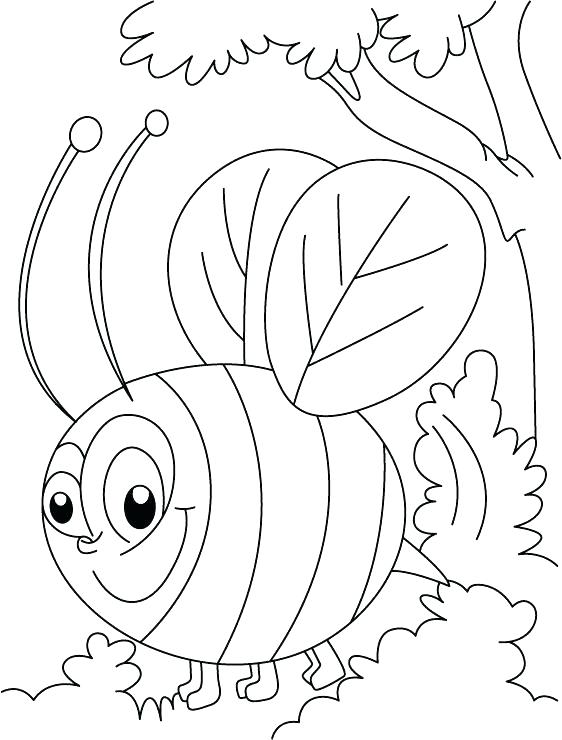 562x740 Honey Beehive Coloring Page Bee Busy In Squeeze Pages Transformers