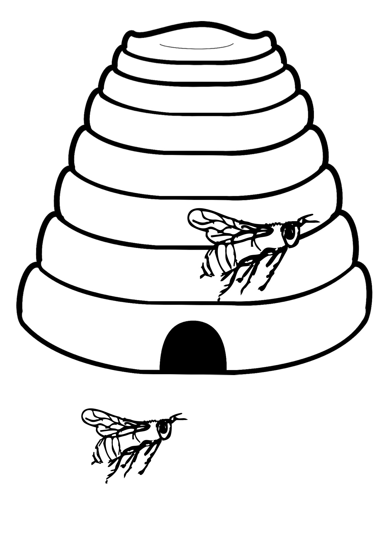 Bee Coloring Pages 1239x1754 Bee Coloring Pages