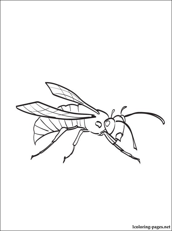 560x750 Hornet Coloring And Printable Page Coloring Pages