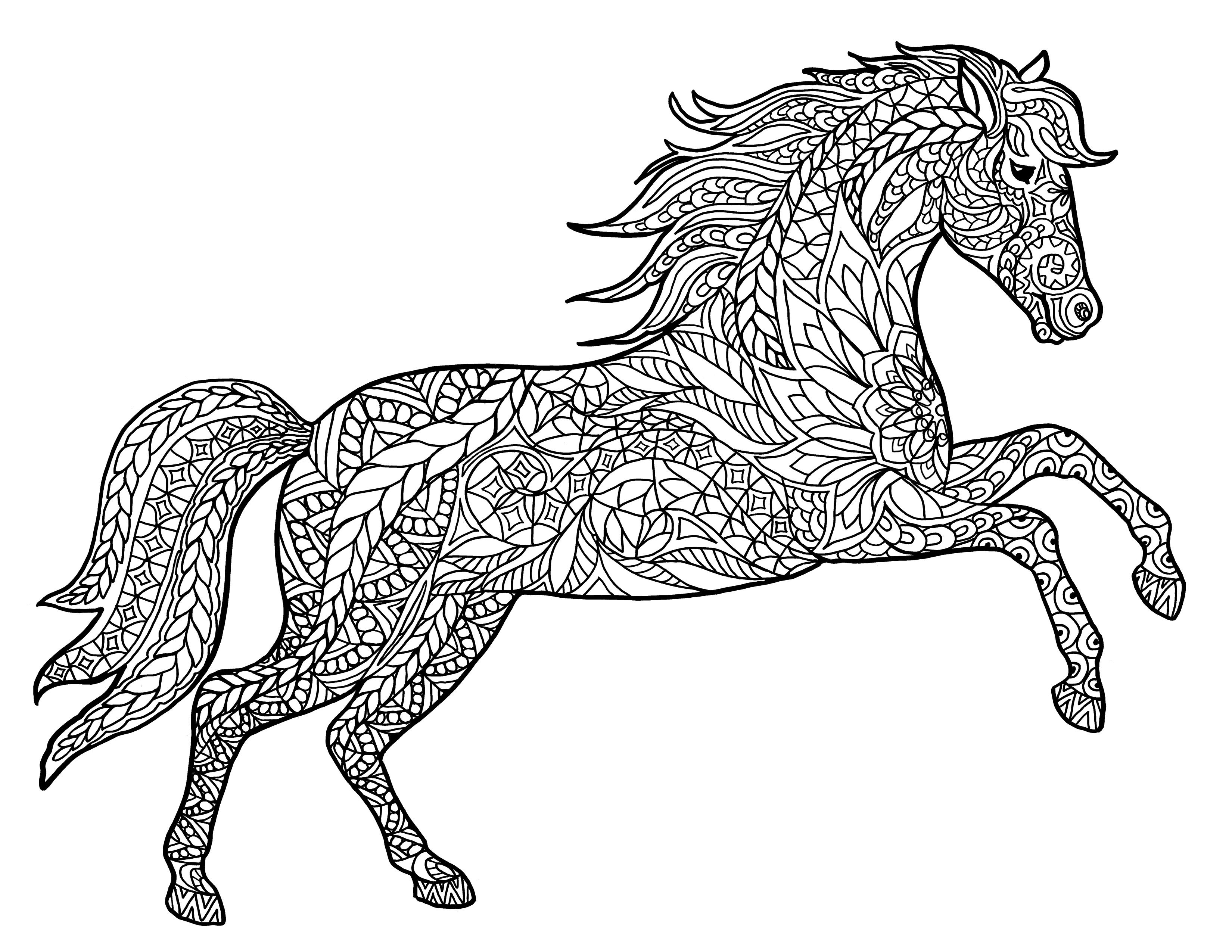 3300x2550 Adult Coloring Pages Animals Horses Download