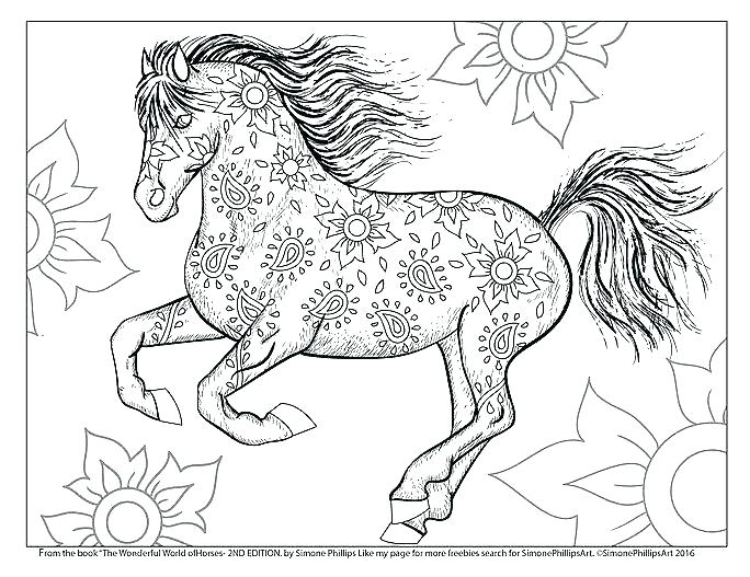 684x527 Adult Coloring Pages Horse S Coloring Pages For Boys Edusmart.co