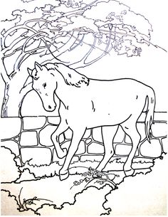 236x305 Horse Coloring Pages For Kids Bratz Coloring Pages Coloring