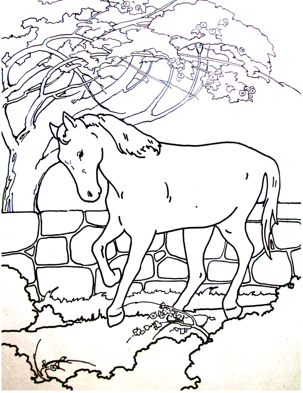 618x800 Horse Coloring Page Coloring Pages Horse