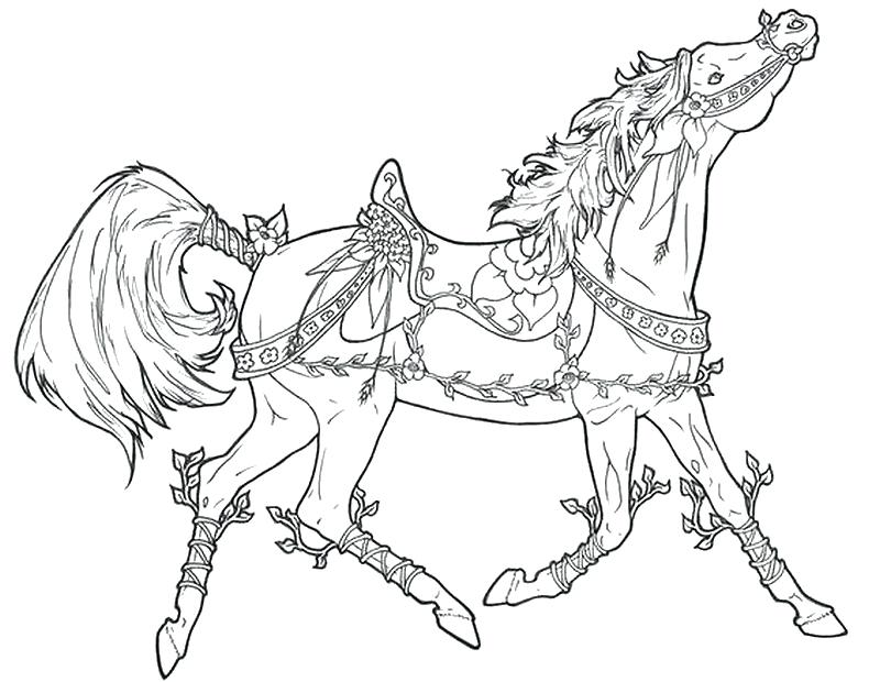 800x620 A Coloring Page Of A Horse Coloring Pages Horse And Rider Mermaid