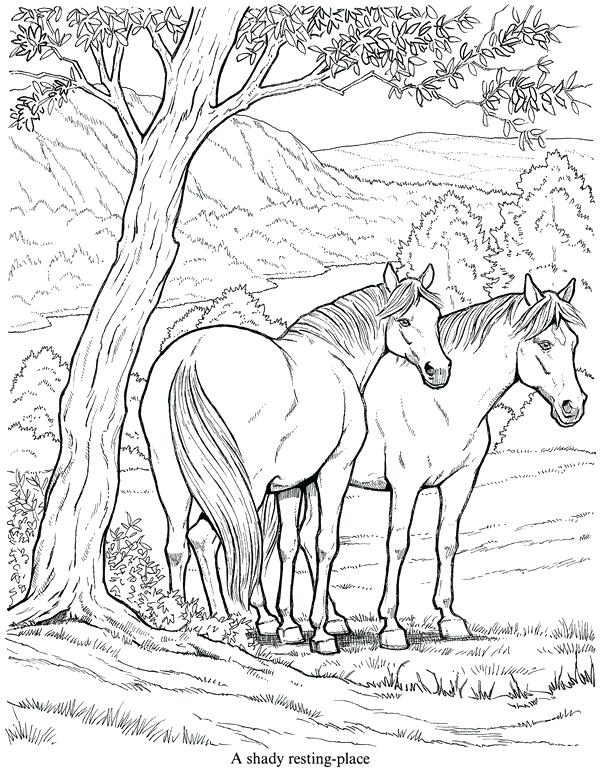 607x770 Horse Coloring Pages Horse Coloring Pages Mares And Foals Breeds