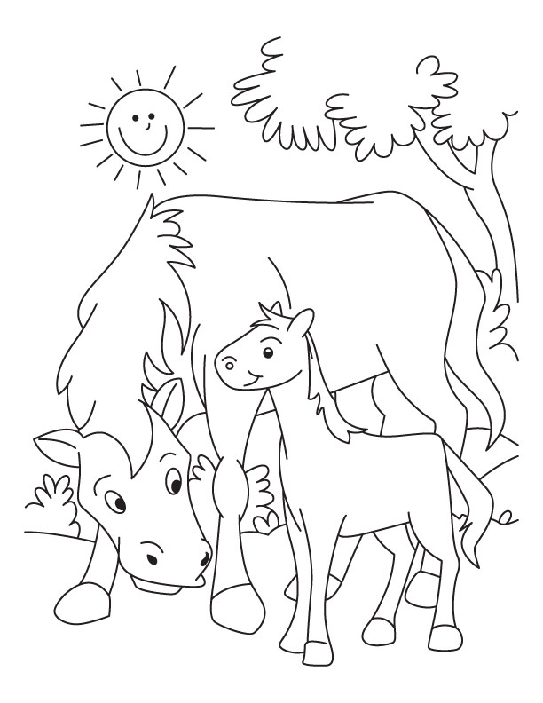 612x792 Horses To Color Mare And Colt Coloring Page