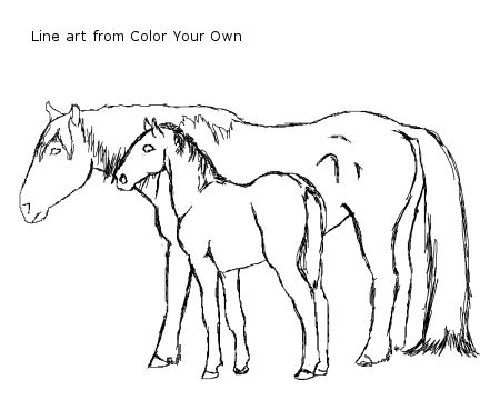 450x360 Nokota Mustang Mare And Foal Coloring Page