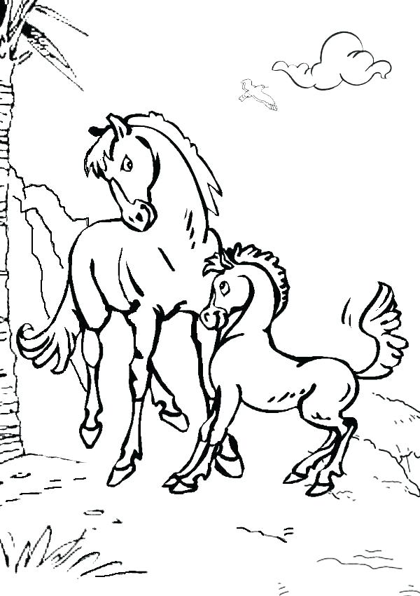 600x850 Baby Horse Coloring Pictures Coloring Pages For Horses Wild Horse