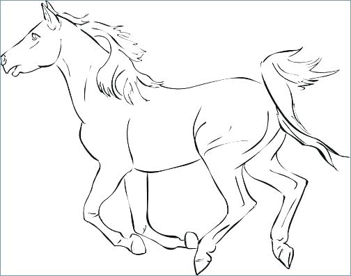 504x397 Baby Horses Coloring Pages Horses Coloring Pages Trend Baby Horses