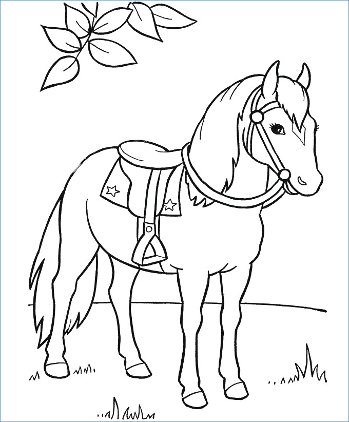Race Horse Coloring Page For Prescool 680x822 Race Horse Coloring Page For Prescool
