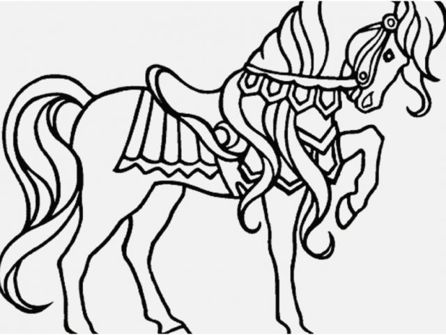 640x480 Horses Coloring Pages Capture Best Impressive Printable Horse