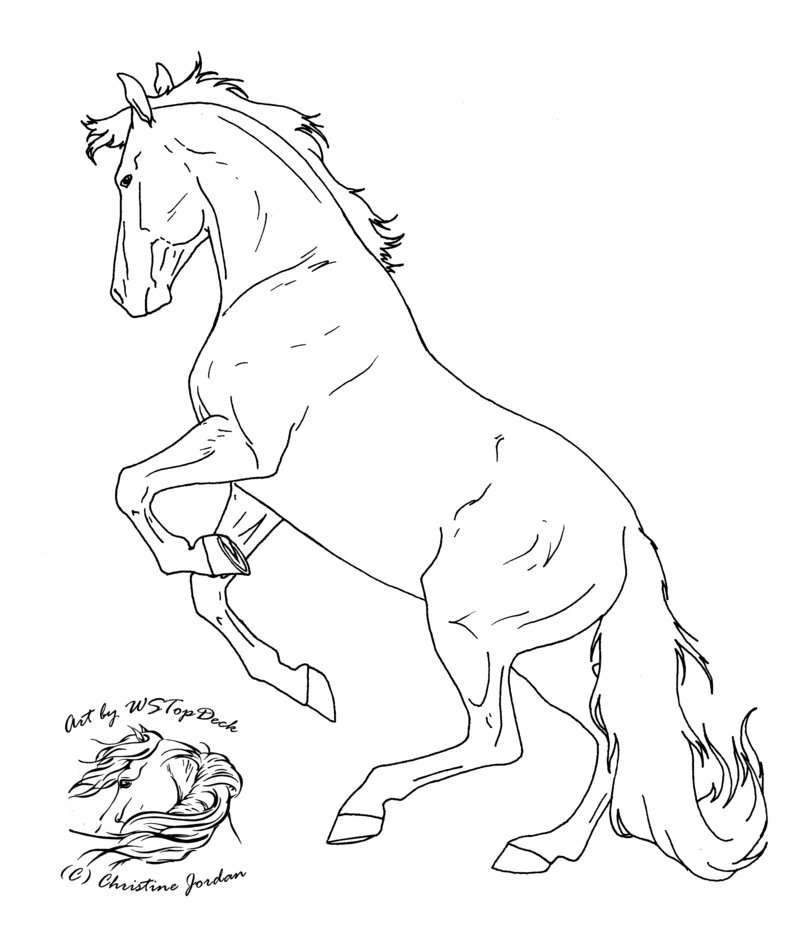 800x941 Horses Rearing Coloring Pages