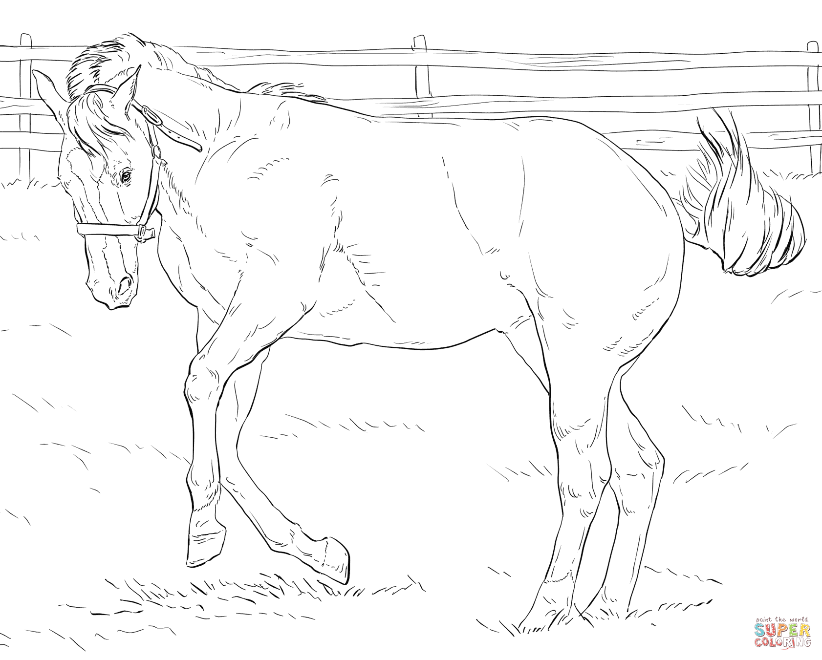 1682x1351 How To Draw Horses Coloring Page
