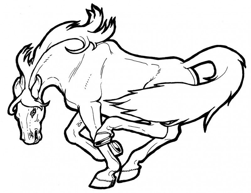 800x615 Mustang Horse Coloring Pages 22497,