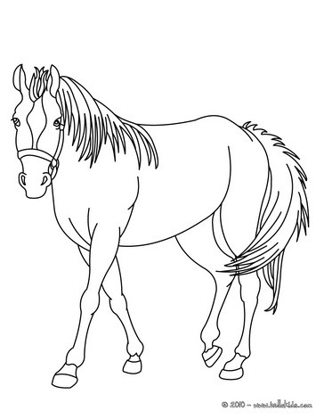 364x470 Animal Coloring Pages