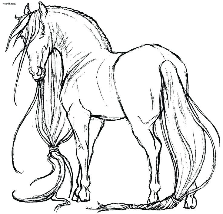 736x707 Coloring Pages Horse Coloring Pages Of Horses Coloring Book Pages