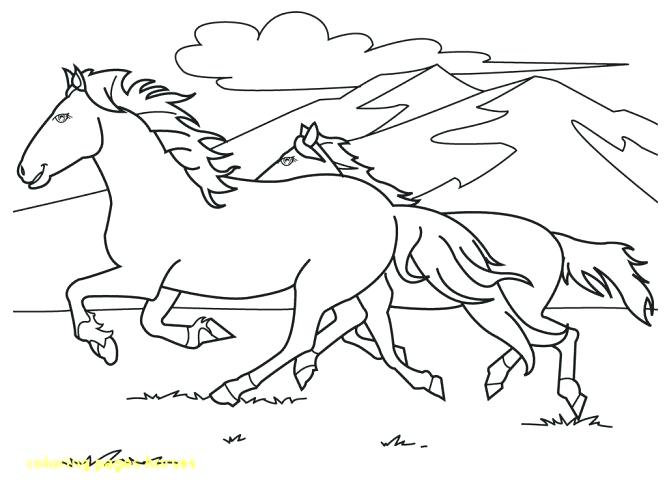 Horse Coloring Page Horse Coloring Pages For Adults Spirit Horse 667x500 Horse Coloring Page Horse Coloring Pages For Adults Spirit Horse