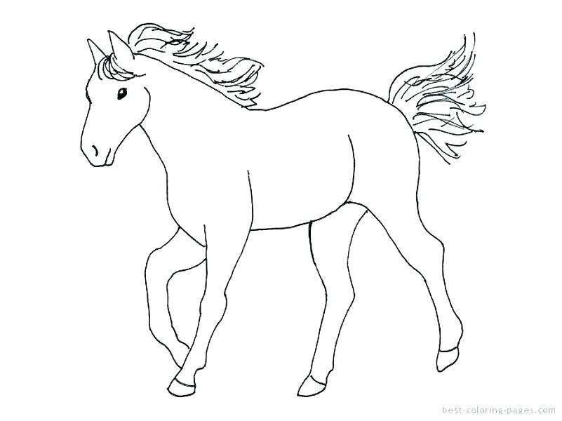 Horse Colouring Pictures Foal Coloring Pages Mustang Horse 801x600 Horse Colouring Pictures Foal Coloring Pages Mustang Horse