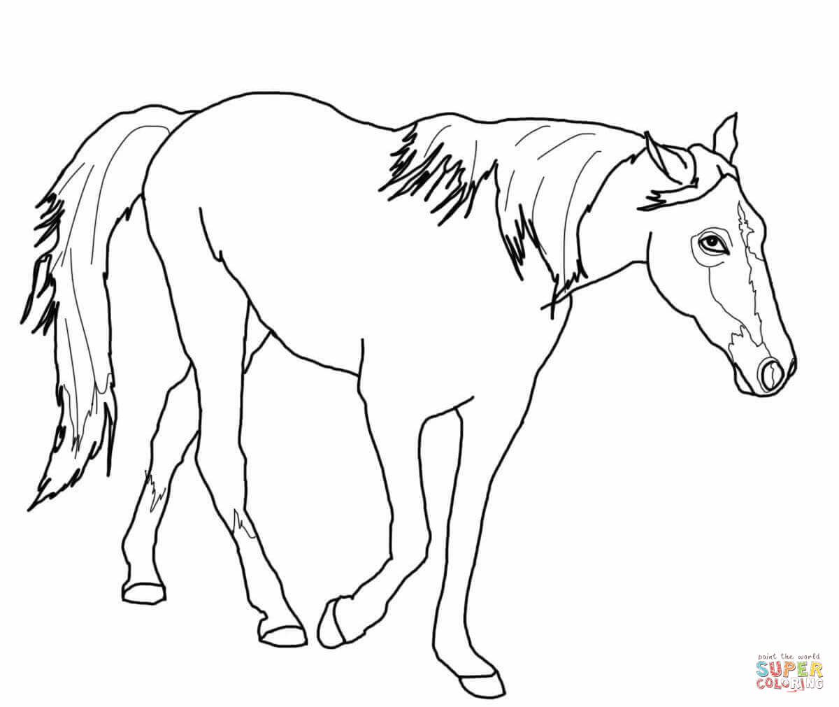 Mainstream Horse Printing Coloring Pages Easy 1200x1011 Mainstream Horse Printing Coloring Pages Easy