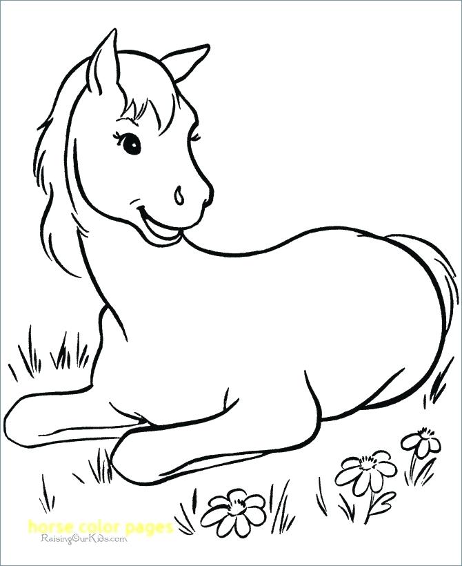 Printable Horse Pictures To Color Horse Color Pages With Horse 670x820 Printable Horse Pictures To Color Horse Color Pages With Horse