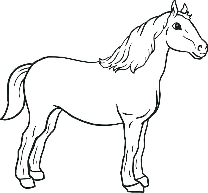Coloring Page Of Horse Coloring Page Horse Coloring Page Horse 700x648 Coloring Page Of Horse Coloring Page Horse Coloring Page Horse