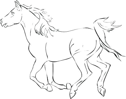 Horse Pages To Color 504x397 Horse Pages To Color