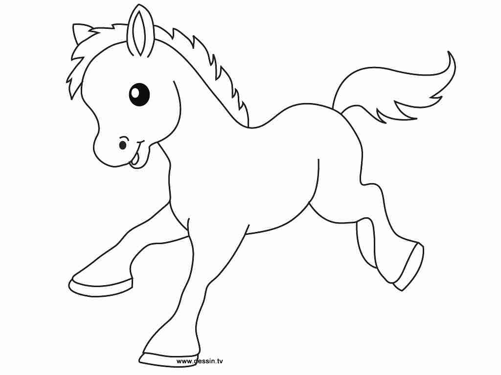 Cute Baby Horse Coloring Pages Only In Draw Easy Bright Of Horses 1024x768 Cute Baby Horse Coloring Pages Only In Draw Easy Bright Of Horses