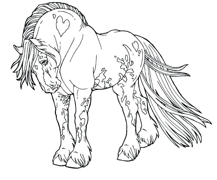 720x598 Horse Coloring Books