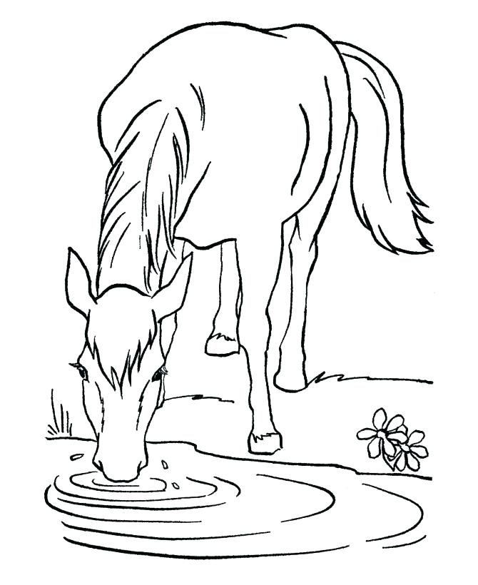 Free Printable Coloring Pages Of Realistic Horses Kids Coloring 670x820 Free Printable Coloring Pages Of Realistic Horses Kids Coloring