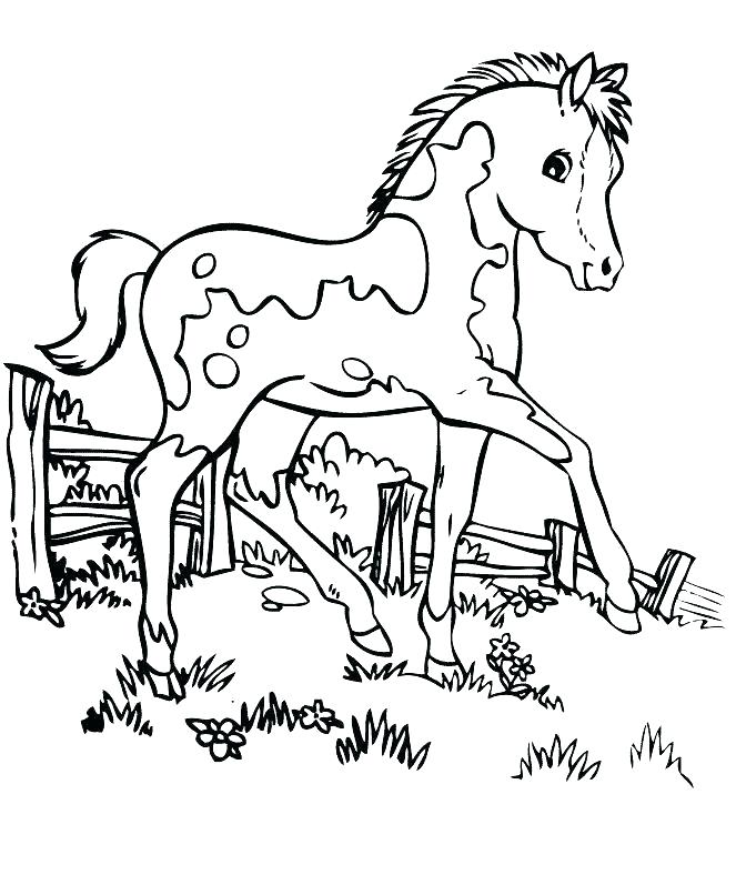 Horse Coloring Pages Printable Horse Coloring Pages Pretty Horse 663x806 Horse Coloring Pages Printable Horse Coloring Pages Pretty Horse
