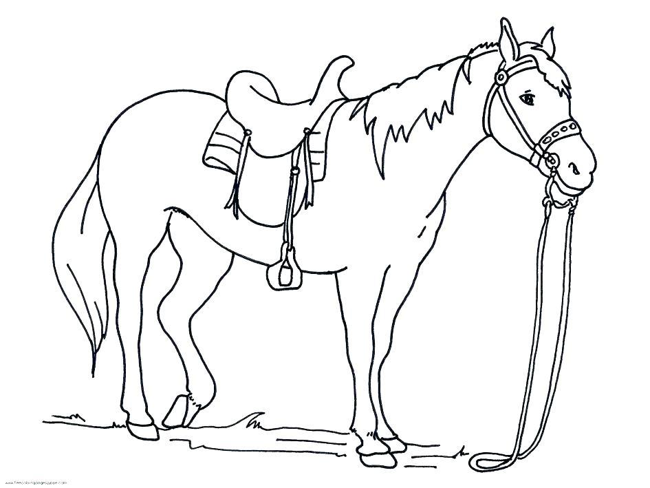 Horse Drawing Kids 945x709 Horse Drawing Kids