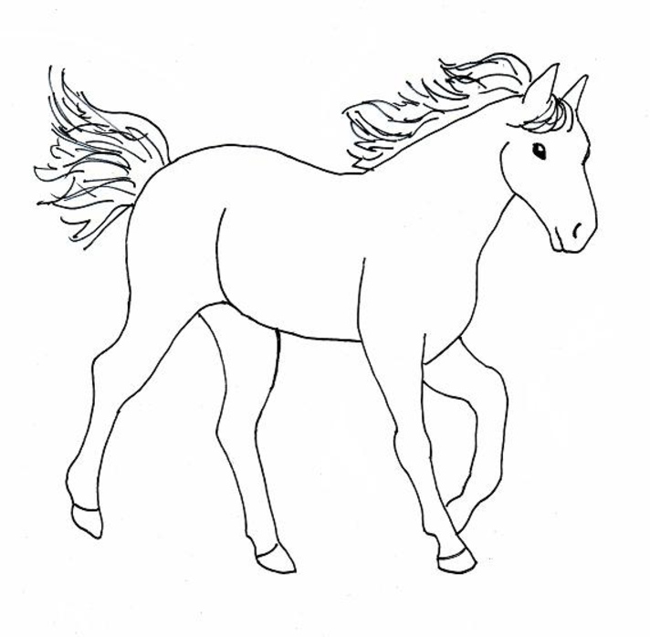 Picture Of Horse To Color Horse To Colour Colouring Pages 712x698 Picture Of Horse To Color Horse To Colour Colouring Pages