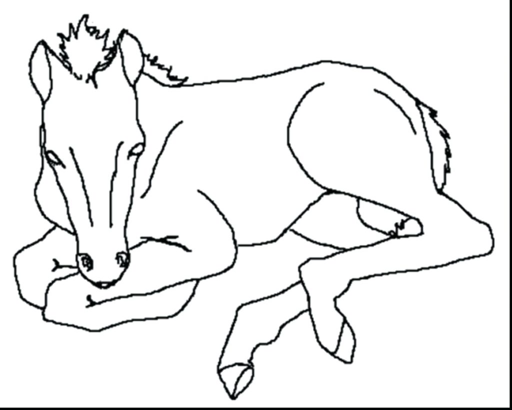 Coloring Pages ~ Free Horse Coloring Pages Printable Race Free 1024x819 Coloring Pages ~ Free Horse Coloring Pages Printable Race Free