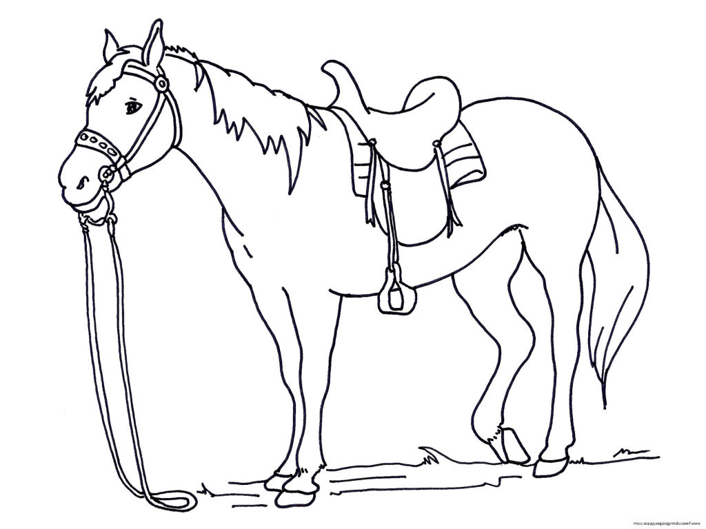 Horses Coloring Pages Horse Trendy Inspirational For Unknown Free 1024x768 Horses Coloring Pages Horse Trendy Inspirational For Unknown Free