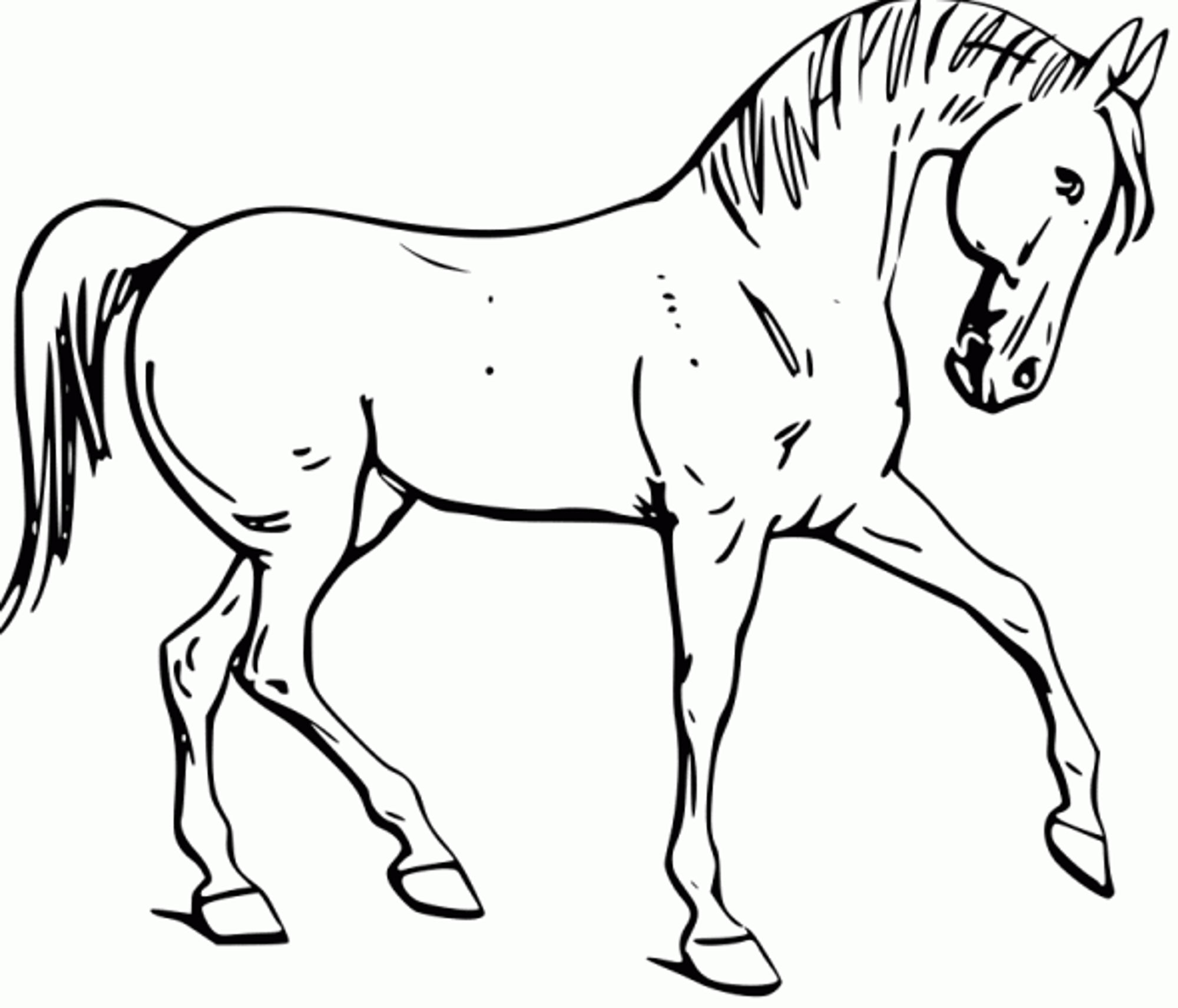 Printable Horse Coloring Pages Fun For Your Kids Ribsvigyapan 2000x1712 Printable Horse Coloring Pages Fun For Your Kids Ribsvigyapan