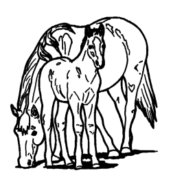 Coloring Pages Printable Of Horses Archives 268x268 Coloring Pages Printable Of Horses Archives