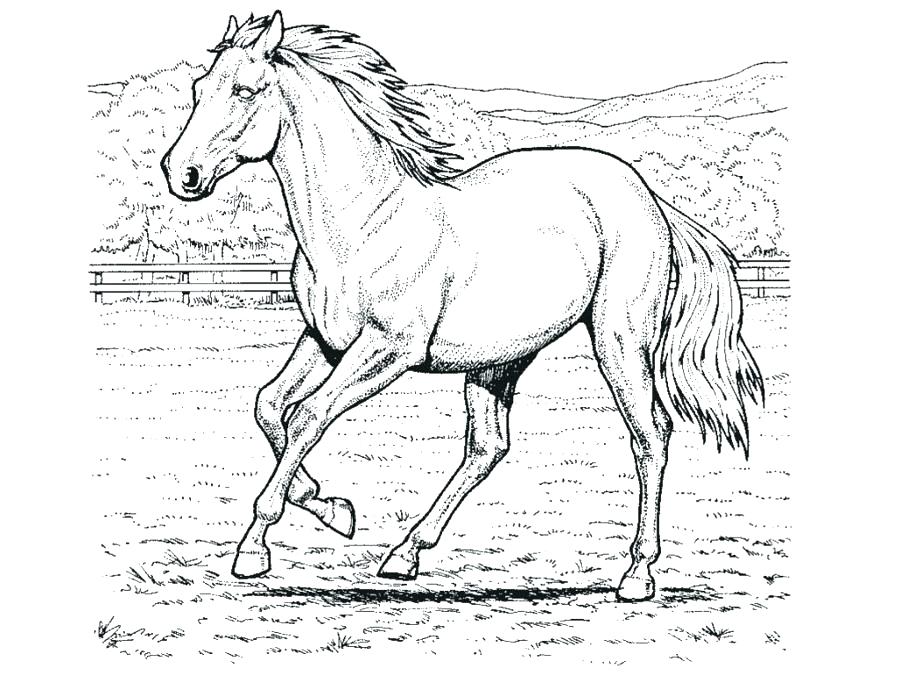 900x675 Horse Coloring Games Horse Coloring Pages Wild Horse Colouring