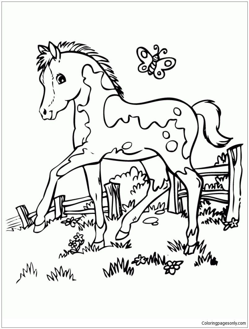 804x1063 Amazing Marvelous Cute Horse Coloring Page Online Image Of Trends