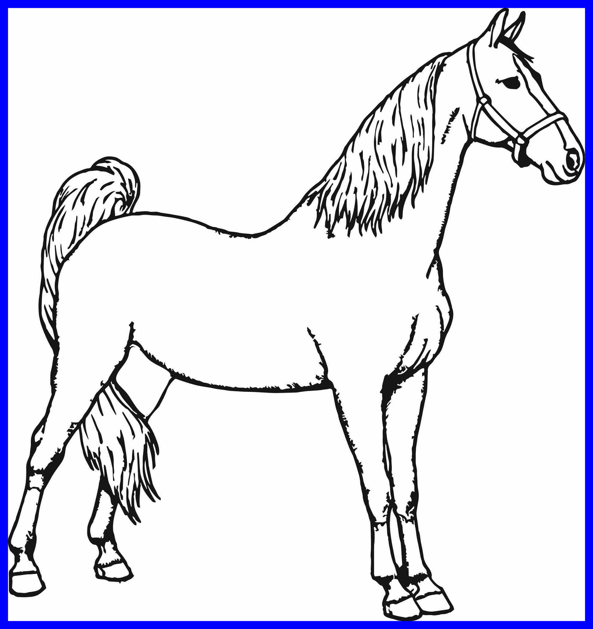 Horse Coloring Page Free Printable - Printable Templates