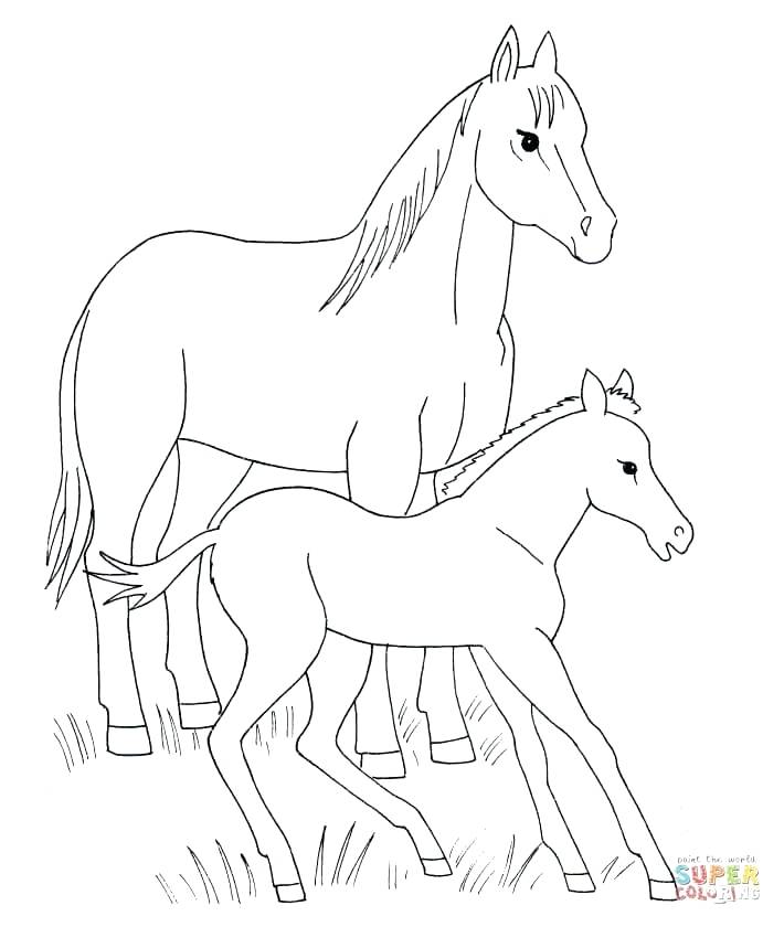 710x840 Luxury Coloring Pages Of Horses Printable For Horse And Foal 66
