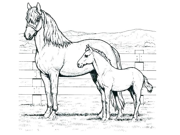 700x525 Printable Coloring Pages For Kids Horses Coloring Pages Spirit