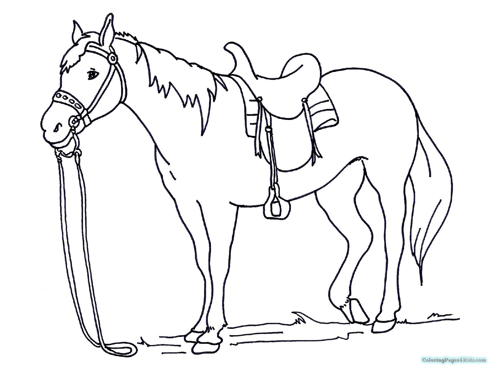 1600x1200 Horse Coloring Pages Spirit The