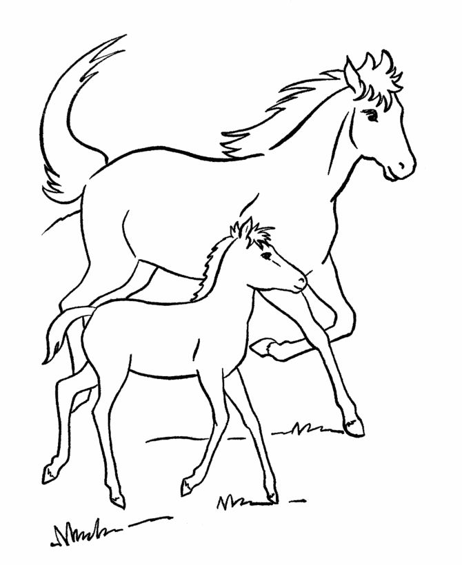 670x820 118 Best Horse Color Pages Images On Coloring Books