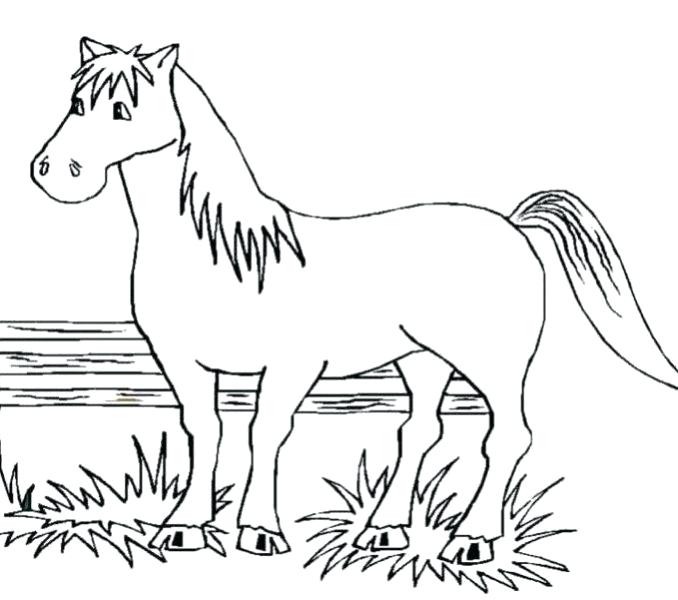 678x600 Free Horse Coloring Pages It S Here Printable Pictures Of Horses