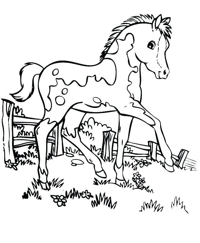 Horse Coloring Pages To Print at GetColorings.com | Free printable ...