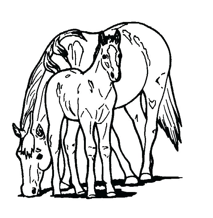 690x705 Horse Coloring Pages To Print For Free Horse Printable Coloring