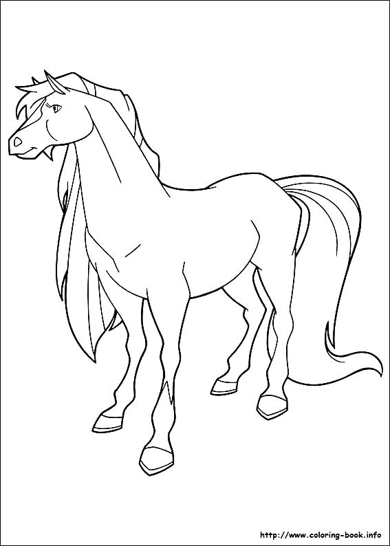 567x794 Arabian Horse Coloring Pages Horse Coloring Pages To Print